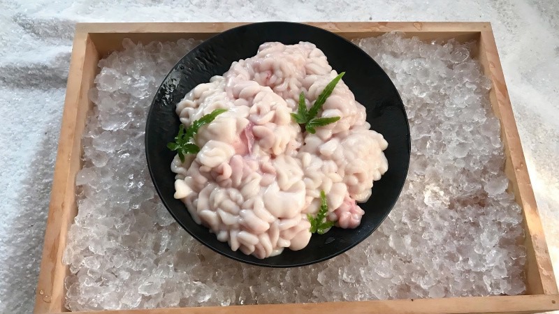 Tinh hoàn cá có thể được thu hoạch từ nhiều loại cá khác nhau