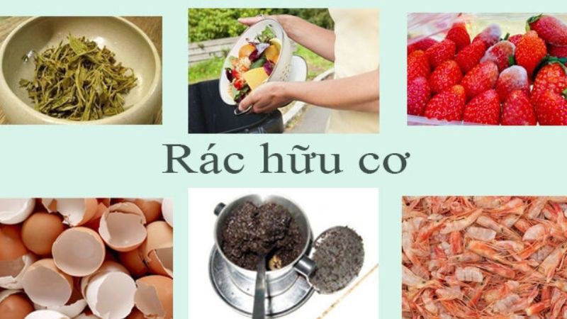 Các loại rác hữu cơ