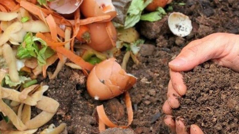Ủ phân từ rác hữu cơ